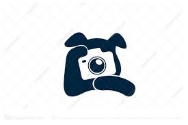 pet camera